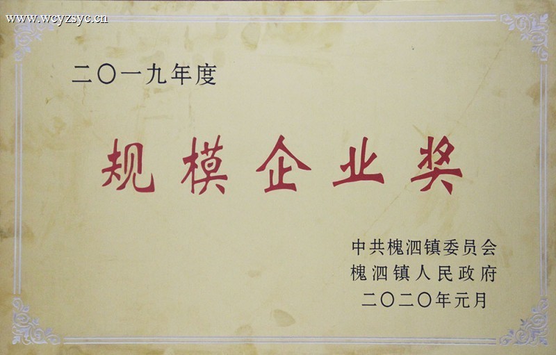 2019年度规模企业奖